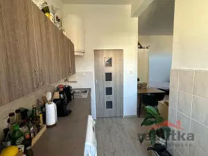 Pronájem bytu 1+kk, Opava - Předměstí, Olbrichova, 30 m2