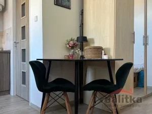 Pronájem bytu 1+kk, Opava - Předměstí, Olbrichova, 30 m2