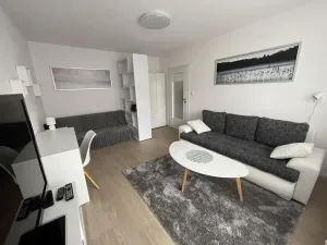 Pronájem bytu 1+1, Žďár nad Sázavou, Dolní, 31 m2