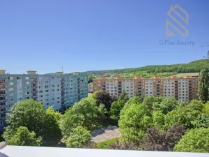 Prodej bytu 2+1, Chomutov, Holešická, 62 m2