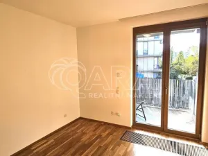 Pronájem bytu 2+kk, Praha - Žižkov, Olgy Havlové, 50 m2