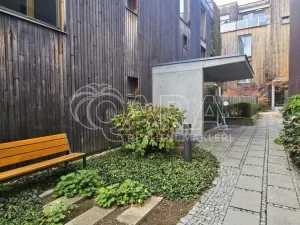 Pronájem bytu 2+kk, Praha - Žižkov, Olgy Havlové, 50 m2