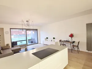 Prodej bytu 3+kk, Brno - Staré Brno, Anenská, 105 m2