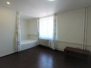 Pronájem bytu 1+kk, Plzeň - Východní Předměstí, Slovanská, 27 m2