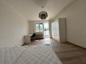 Pronájem bytu 2+1, Plzeň - Jižní Předměstí, Raisova, 56 m2