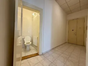 Pronájem bytu 2+1, Praha - Holešovice, Letenské náměstí, 82 m2