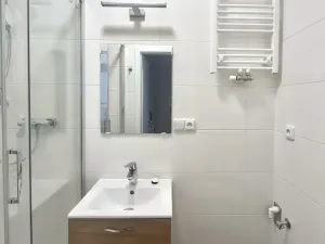 Pronájem bytu 1+kk, Brno, Körnerova, 15 m2