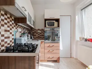 Prodej bytu 3+1, Choceň, Záměstí, 79 m2