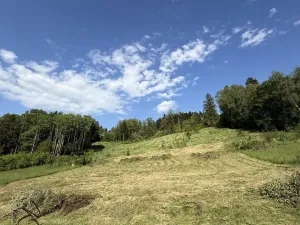 Prodej pozemku pro bydlení, Ratiboř, 2493 m2