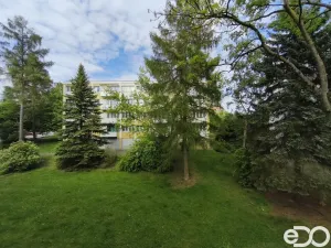 Pronájem bytu 3+kk, Nové Město nad Metují, Malecí, 57 m2