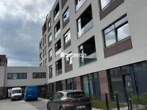 Pronájem bytu 1+kk, Praha - Žižkov, Malešická, 50 m2