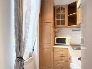 Pronájem bytu 1+kk, Plzeň - Východní Předměstí, Lobezská, 40 m2