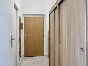 Pronájem bytu 1+kk, Plzeň - Východní Předměstí, Lobezská, 40 m2