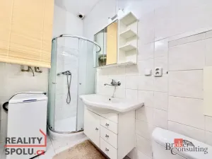 Pronájem bytu 1+kk, Plzeň - Východní Předměstí, Lobezská, 40 m2