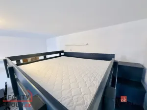 Pronájem bytu 1+kk, Plzeň - Východní Předměstí, Lobezská, 40 m2