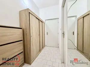Pronájem bytu 1+kk, Plzeň - Východní Předměstí, Lobezská, 40 m2