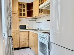 Pronájem bytu 1+kk, Plzeň - Východní Předměstí, Lobezská, 40 m2