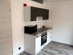 Pronájem bytu 1+kk, České Budějovice - České Budějovice 3, Riegrova, 46 m2
