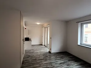 Pronájem bytu 1+kk, České Budějovice - České Budějovice 3, Riegrova, 46 m2