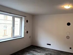 Pronájem bytu 1+kk, České Budějovice - České Budějovice 3, Riegrova, 46 m2