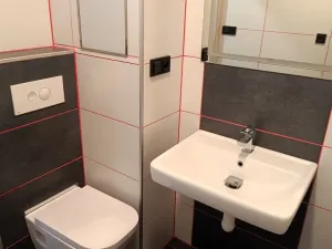 Pronájem bytu 1+kk, České Budějovice - České Budějovice 3, Riegrova, 46 m2