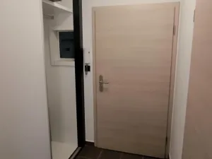 Pronájem bytu 1+kk, České Budějovice - České Budějovice 3, Riegrova, 46 m2