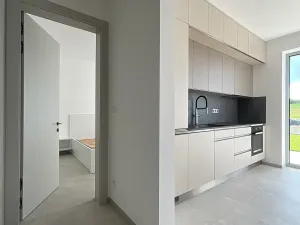 Pronájem bytu 2+kk, Hajany, 50 m2