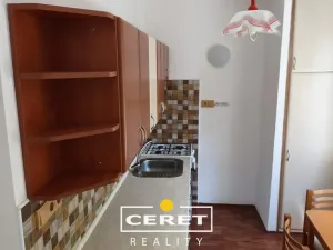 Prodej bytu 2+1, Žatec, Podměstí, 55 m2