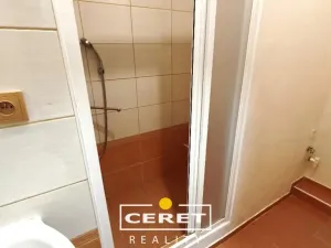 Prodej bytu 2+1, Žatec, Podměstí, 55 m2