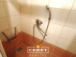 Prodej bytu 2+1, Žatec, Podměstí, 55 m2