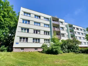 Pronájem bytu 2+1, Ostrava - Moravská Ostrava, Mánesova, 55 m2