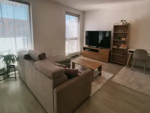 Pronájem bytu 1+kk, Plzeň, Kollárova, 56 m2