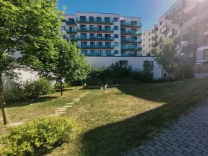 Pronájem bytu 1+kk, Plzeň, Kollárova, 56 m2