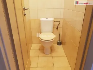 Pronájem bytu 1+1, České Budějovice - České Budějovice 3, B. Smetany, 44 m2