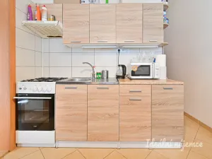 Pronájem bytu 3+1, Brno - Bohunice, Vedlejší, 64 m2