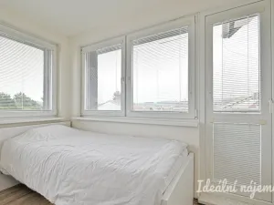 Pronájem bytu 1+kk, Brno, Hostislavova, 22 m2
