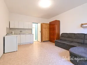 Pronájem bytu 1+kk, Brno, bratří Sapáků, 29 m2