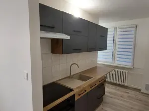 Pronájem bytu 2+1, Bílina - Teplické Předměstí, Sídliště Za Chlumem, 50 m2