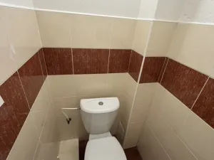 Pronájem bytu 2+kk, Kravaře - Kouty, Hlučínská, 55 m2