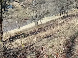 Prodej rodinného domu, Jáchymov, tř. Čs. armády, 203 m2