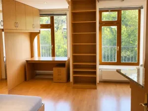 Pronájem bytu 1+kk, Praha - Vinohrady, Francouzská, 28 m2