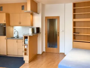 Pronájem bytu 1+kk, Praha - Vinohrady, Francouzská, 28 m2