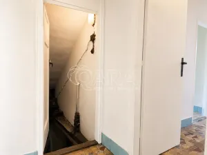 Prodej vícegeneračního domu, Olešná, 170 m2
