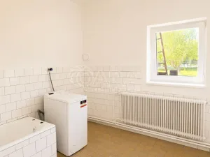 Prodej vícegeneračního domu, Olešná, 170 m2