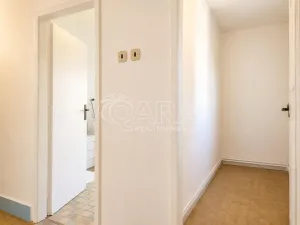 Prodej vícegeneračního domu, Olešná, 170 m2