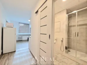 Pronájem bytu 1+1, Most, Marš. Rybalka, 35 m2