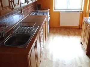 Prodej rodinného domu, Velké Albrechtice, 350 m2