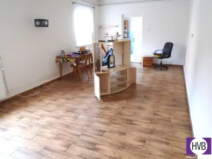 Prodej rodinného domu, Velké Albrechtice, 350 m2