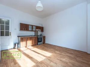 Prodej bytu 1+1, Praha - Holešovice, Osadní, 53 m2