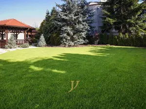 Pronájem bytu 2+1, Olomouc, Blanická, 54 m2